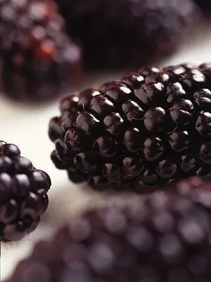 Blackberries: A Sweet and Healthy ‘Super Food’