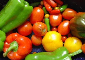 How to Help Kids Eat Healthy this Summer