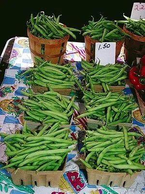 What’s in Season in August
