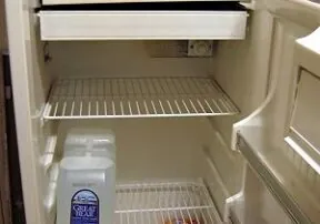 It’s National Clean Out the Refrigerator Day!