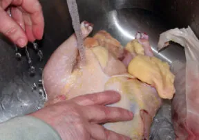Food FYI: Should You Wash Your Chicken?