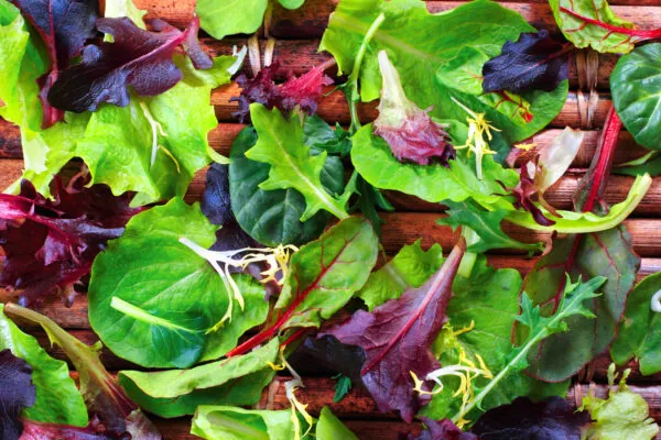 Yuma Produces 90% of Our Leafy Greens in Winter