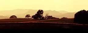Golden Rule Vineyards Wine Tasting Event This Friday