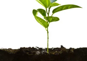How Climate Change is Affecting Our Farmers – The Models