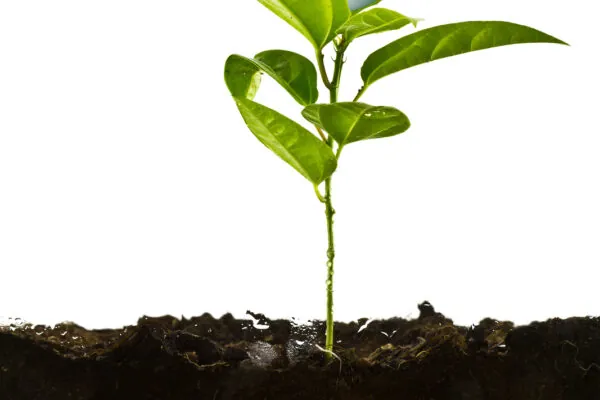How Climate Change is Affecting Our Farmers – The Models