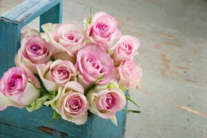 Valentine's Day Date Ideas