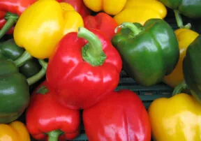 50 Fun Things to Do with Sweet Peppers