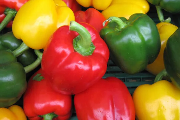 50 Fun Things to Do with Sweet Peppers