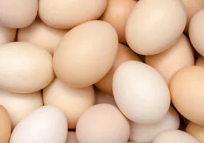 The Incredible, Edible, Environmentally Friendly Egg