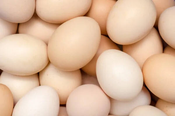 The Incredible, Edible, Environmentally Friendly Egg