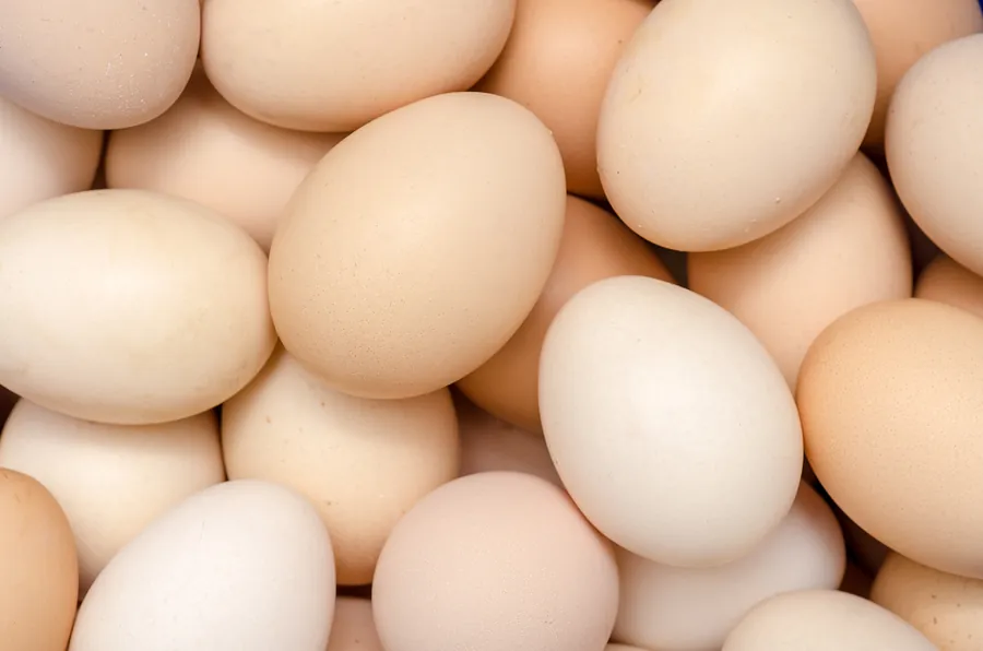 Eating More Eggs is a Healthy Choice