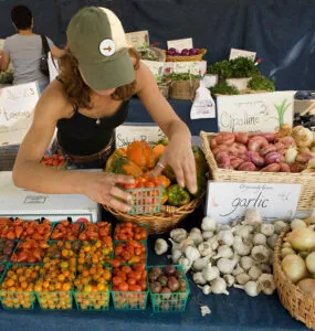 Farmer's Markets