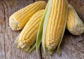 Corn Silks are Packed with Nutrients