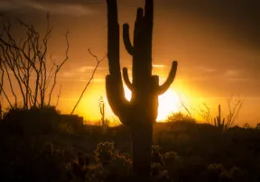 How to Keep Cool in Arizona without Breaking the Bank