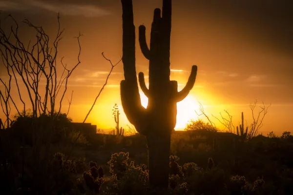 How to Keep Cool in Arizona without Breaking the Bank