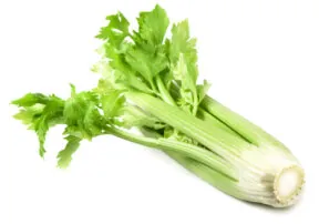 50 Ways to Celebrate Celery