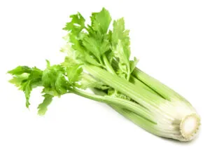 celery
