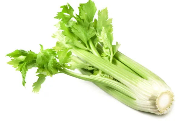 50 Ways to Celebrate Celery