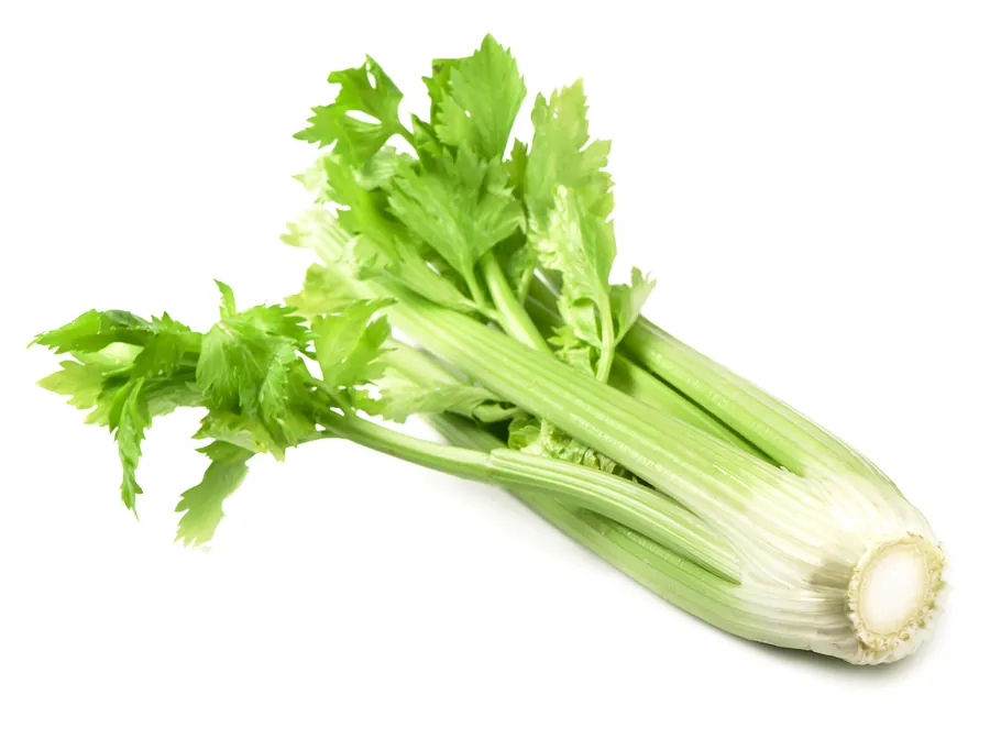 March is National Nutrition and Fresh Celery Month.