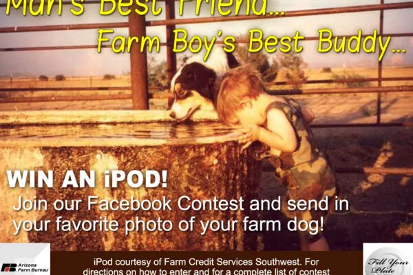 It’s Contest Time! Send in Photos of Your Beloved Farm Dog
