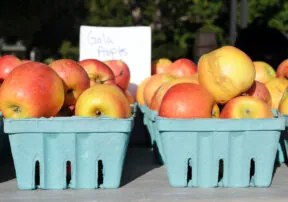 What’s in Season in September