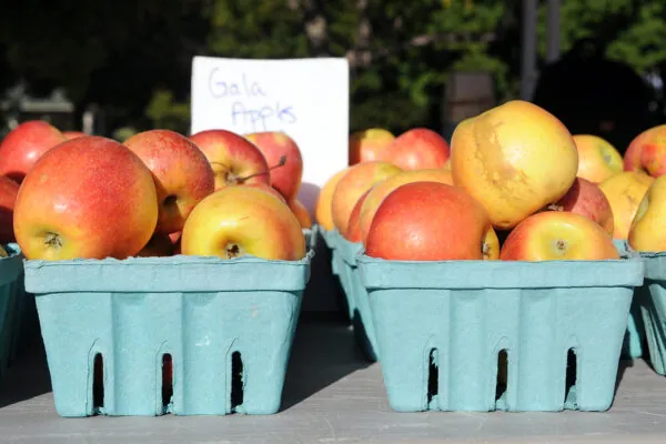 What’s in Season in September