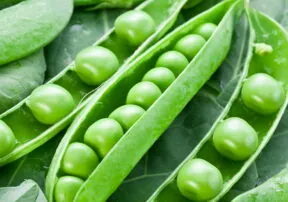50 Things to Do with Peas