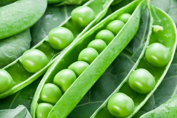50 Things to Do with Peas
