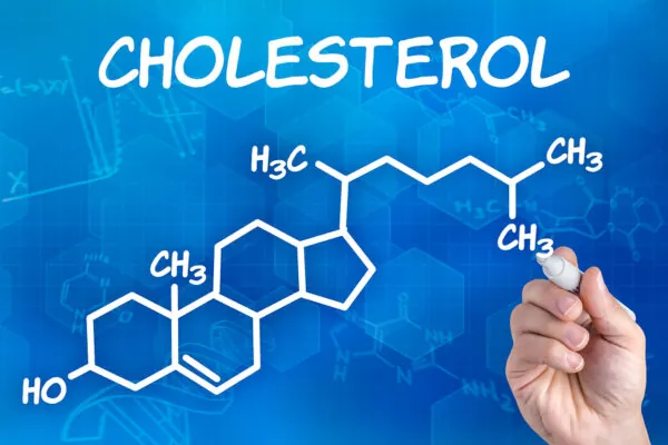How to Use Food to Manage Your Cholesterol
