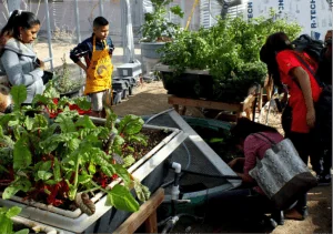 (Photos courtesy of Manzo Elementary School, Tucson Unified School District)