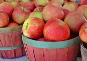 50 Fun Ways to Use Apples