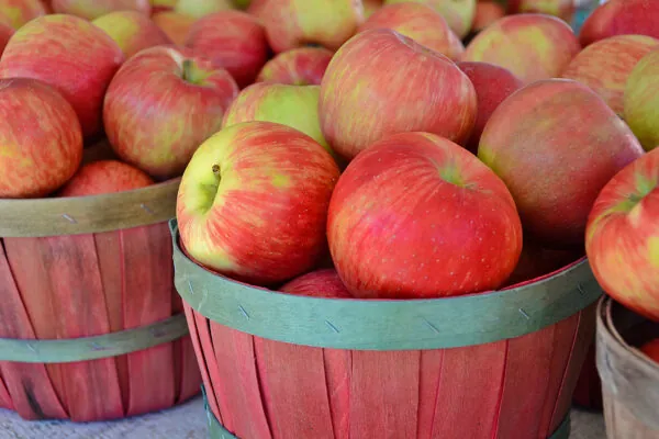 50 Fun Ways to Use Apples