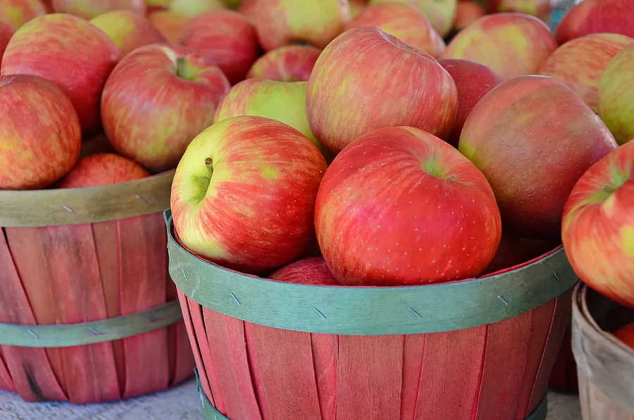 Arizona Apples are Crisp and Sweet and Healthy!