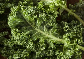 30 Things to Do With Kale