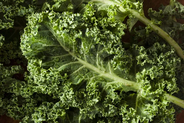 30 Things to Do With Kale