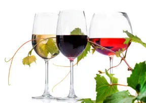 Don’t Miss the Willcox Fall Wine Festival, October 18/19