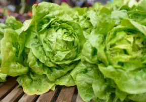 Let’s Celebrate Arizona Grown Leafy Greens