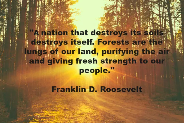 This Land is Your Land …9 Quotes by Famous Americans