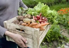 Fill Up on Fiber!