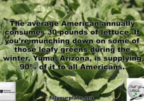 Little Known Facts about Arizona’s Leafy Greens