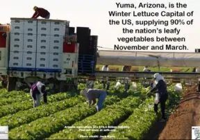 8 Ways to Eat Healthy, Arizona Style