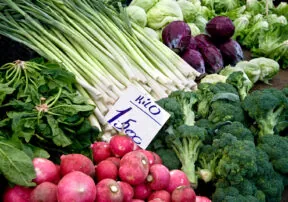 9 Foods to Help You Lose Weight