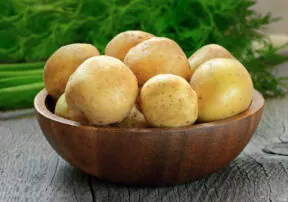 Room Temperature or Refrigerate: How to Store Common Foods and Leftovers