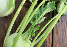 Fun Facts about Winter Vegetables