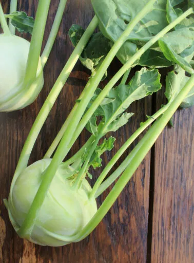 Fresh, organic kohlrabi