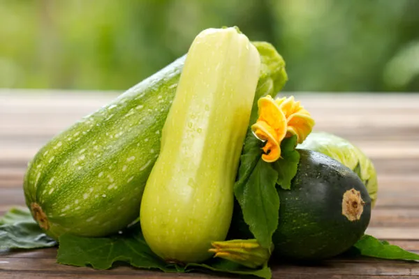 Fun Facts About Zucchini