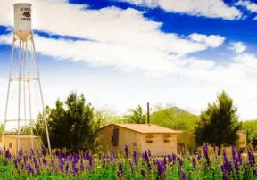 Arizona Agritourism
