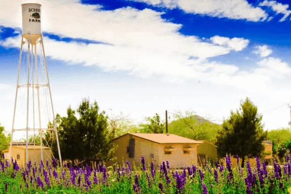 Arizona Agritourism