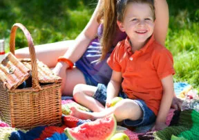 National Picnic Day