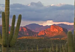 Experience Arizona From A Different Point Of View With Arizona Dude Ranch Vacations